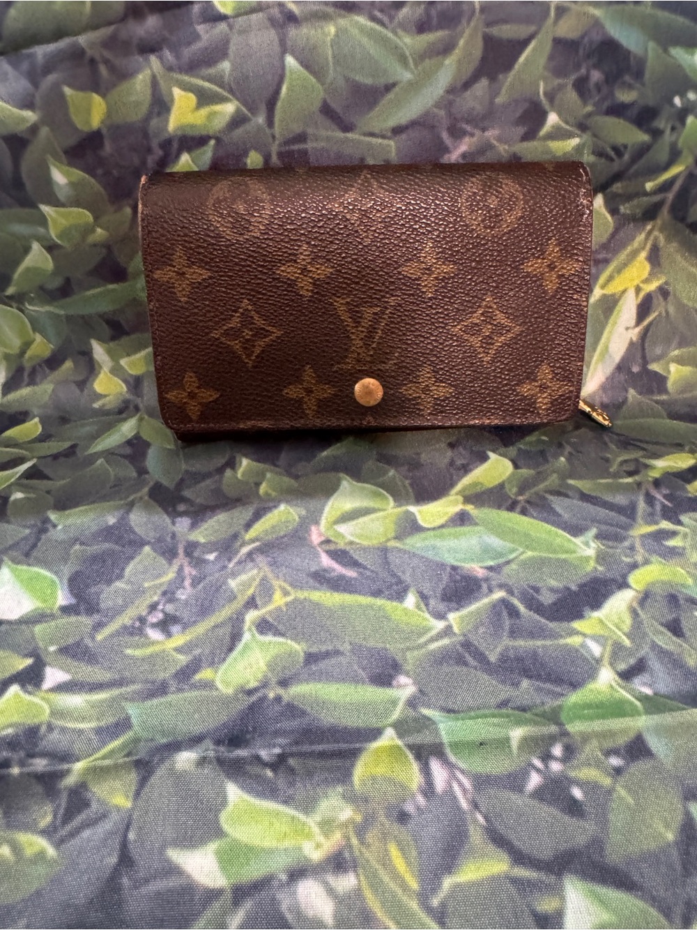 Louis Vuitton Monogram Kisslock Wallet